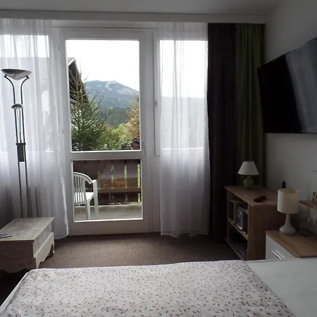 Am Waldrand Bayerisch Eisenstein