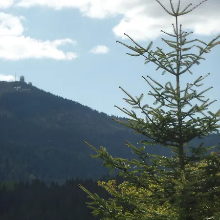 Am Waldrand *