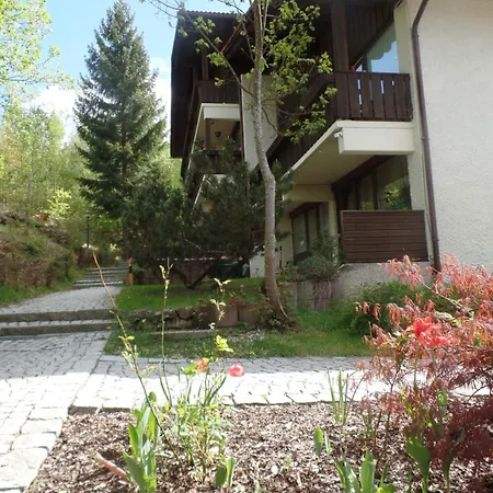 Am Waldrand * Bayerisch Eisenstein