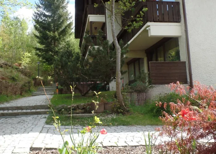 Am Waldrand * Bayerisch Eisenstein
